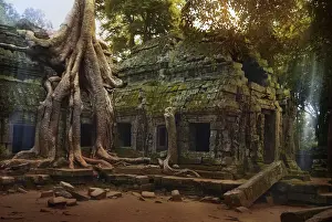 Deterioration Prints: Ta Prohm Temple in Cambodia