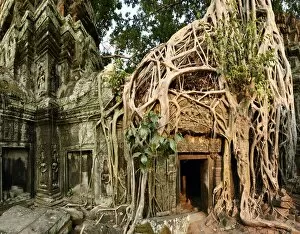 Images Dated 4th April 2015: Ta Prohm Temple, Khmer Empire, Cambodia