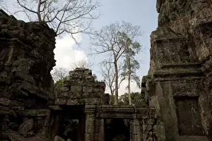 February Prints: Ta Prohm Temple Ruins
