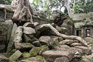 Images Dated 16th July 2006: Ta Prohm temple wall overgrown with trees