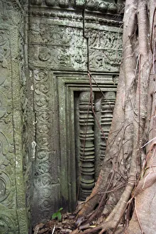 Images Dated 16th July 2006: Ta Prohm temple wall overgrown with trees