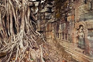 Support Collection: Ta Som temple covered by strangler fig tree