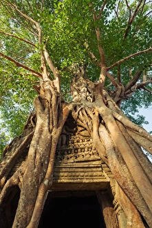 Support Collection: Ta Som temple entrance with strangler fig