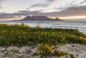 Table Bay Prints: Table Mountain, Lions Head and Devils Peak in the evening light