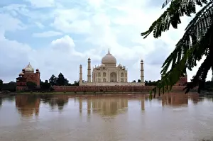 Taj Mahal Prints: The Taj Mahal