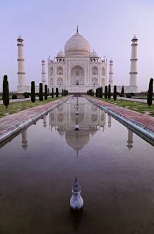 the Taj Mahal and reflection