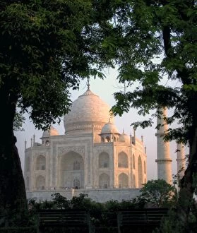 Images Dated 28th April 2011: Taj Mahal behind trees at sunrise