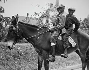 Huty33249 Prints: Taking The Reins On The Open Road