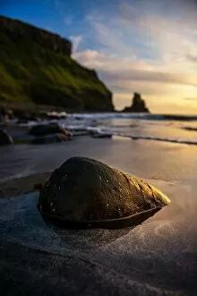 Images Dated 26th August 2015: Talisker Beach in the sunset time, Isle of Skye