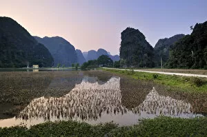 Mirrored Gallery: Tam Coc region near Ninh Binh, dry Halong Bay, Vietnam, Southeast Asia, Asia