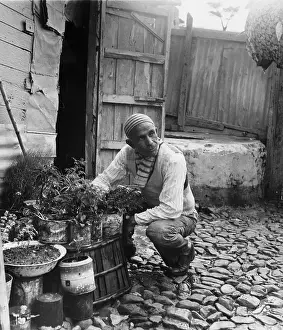 Cultivated Plants Prints: Tangier Backyard