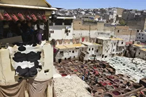 Images Dated 27th January 2010: Tannery in the old medina