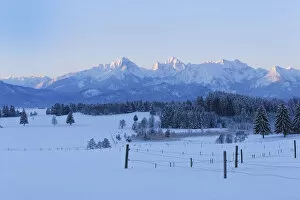 Images Dated 10th February 2013: Tannheim Mountains at sunrise in winter, near Halblech, Swabia, Bavaria, Germany