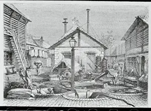 Tanning of Hides in Pits