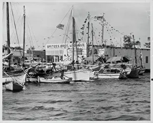 Lac0060 Prints: The Tarpon Springs Fleet