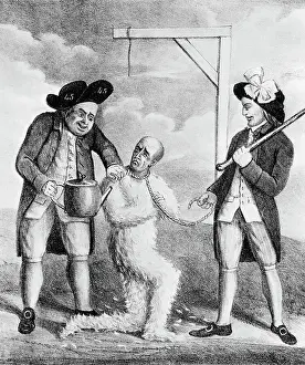 Tarring and Feathering an English Dandie