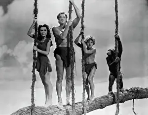 Tarzan, Jane, Boy, and Chimp