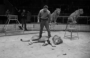 Cage Prints: Tarzan's Act