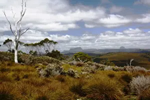 Tasmania Prints: Tasmanian highlands