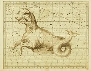 Taurus