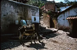 Dmitriupload1 Prints: Taxco de Alarcon, Guerrero, Mexico