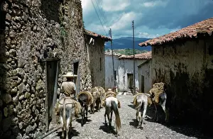 Lac0105 Prints: Taxco, Mexico