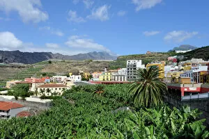 Images Dated 28th October 2011: Tazacorte, La Palma, Canary Islands, Spain, Europe, PublicGround