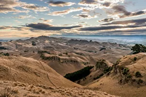 Evening Atmosphere Collection: Te Mata Peak, parched landscape, evening mood, near Hastings, Hawkes Bay, North Island, New Zealand