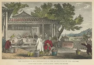 China Prints: Tea In China