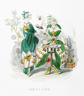 Grandville Prints: Tea and Coffee Flowers - Stunning Hand-colored plate from 'Les Fleurs Animees by J