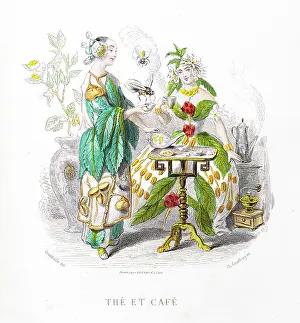 Tea and Coffee - Stunning Hand-colored plate from "Les Fleurs Animees by J.J.Grandville 1867