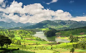 Tea estates around the Emerald Lake in Ooty