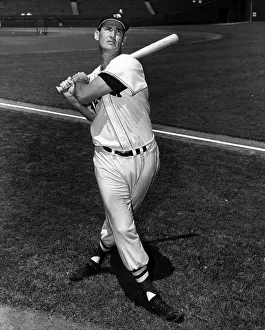 Ted Williams Prints: Ted Williams