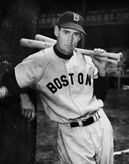 Ted Williams Prints: Ted Williams
