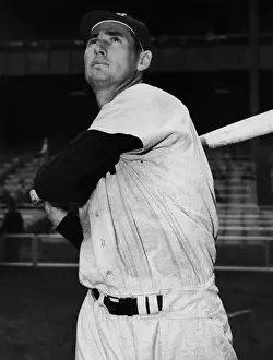 Ted Williams Prints: Ted Williams