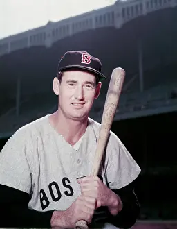 Ted Williams Prints: Ted Williams