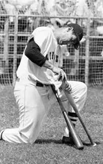 Sarasota Prints: Ted Williams With Bat