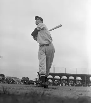 Ted Williams Prints: Ted Williams at Bat