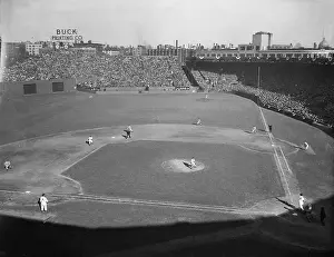 Ted Williams at Bat