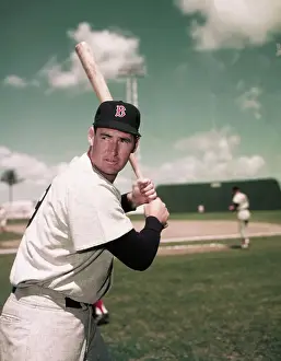 Ted Williams of Boston Red Sox in Batting Stance