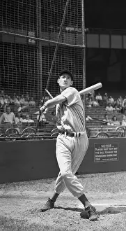 Ted Williams Prints: Ted Williams Is Shown Swinging Bat