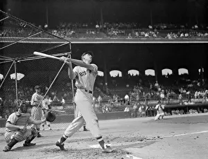 Ted Williams Prints: Ted Williams Swinging the Bat in Preparation for Upcoming Game