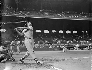 Ted Williams Prints: Ted Williams Swinging the Bat in Preparation for Upcoming Game