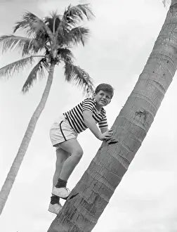 Teddy Kennedy Climbing A Palm Tree
