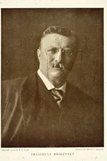Republican Prints: Teddy Roosevelt