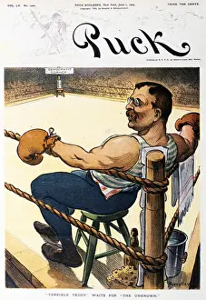 Prints of The cartoon image of Teddy Roosevelt as a boxer between rounds is the cover art for Puck magazine issue June 1, 1904 in New York City. (Photo by Transcendental Graphics/Getty Images) Transcendental Graphics Prints: Teddy Roosevelt As Pugilist