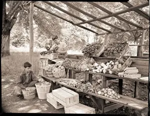 Roadside Prints: Teenage Boys at Vegetable Stand