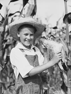 Images Dated 30th June 2008: Teenage farm boy wearing bib overalls and straw hat, standing in corn field, holding corn cob