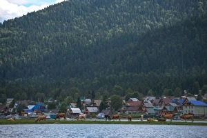 Images Dated 23rd July 2013: Teleckoe lake