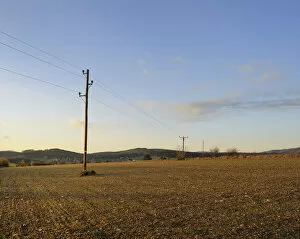 Telegraph poles and field, Lower Austria, Austria, Europe